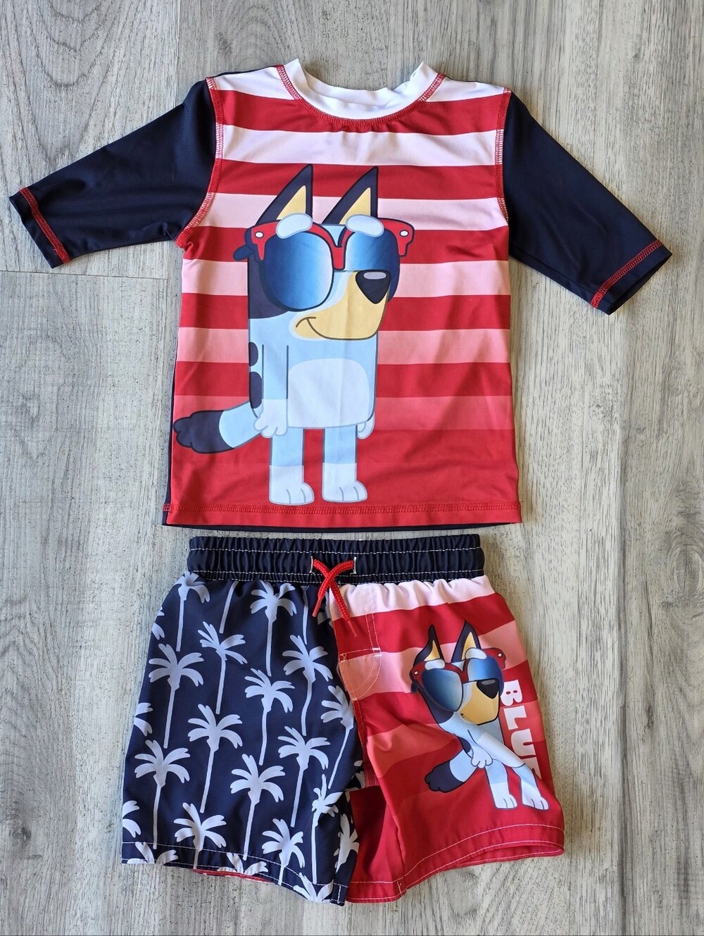 Bluey Boys 4/5 Rash Guard & Swim Trunks Set
